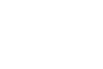 Lavender Turtle Creative White Logo with Geometric Turtle